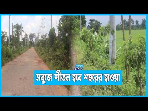 শরীয়তপুরে সড়কের দু’ধারে লাগানো হচ্ছে জলবায়ুবান্ধব গাছ