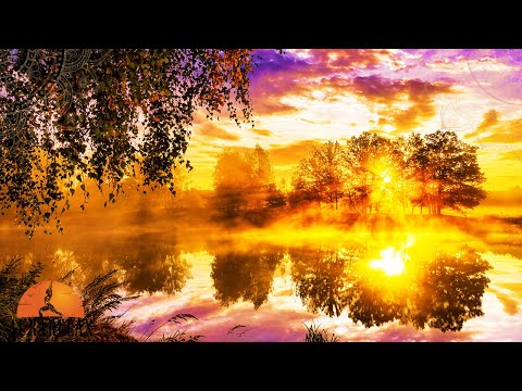 MORNING Peace Music 😍 Wake Up Positive & Happy - Be Kind To Others & Yourself - 528Hz Healing Music
