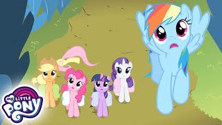 My Little Pony: friendship is magic  Dragonshy  FU