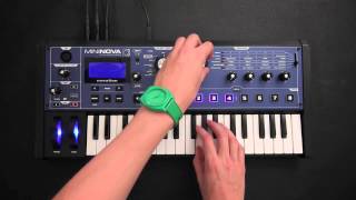 Novation // Dorian Concept x MiniNova