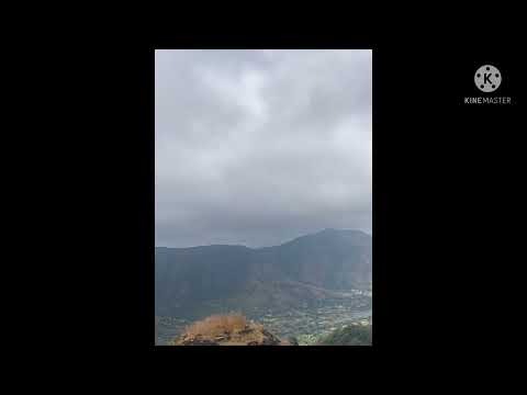 Rupal birthday wishes 😍🤗