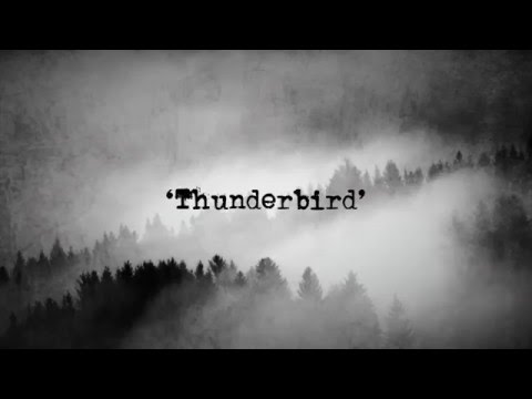 Pete Lunn - Thunderbird (Original Song) [Lyric Video]