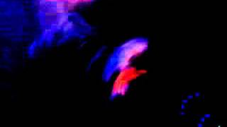 Chiodos - &quot;Modern Wolf Hair&quot; at Common Ground in Gainesville, FL