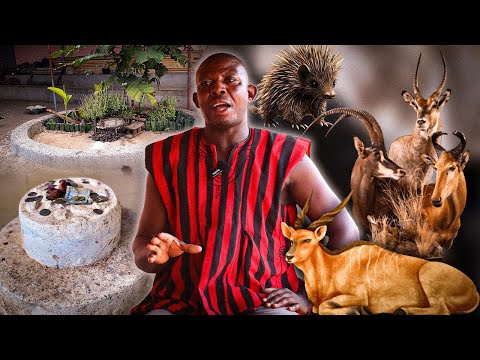 Hunter's SHOCKING Encounter! 😱 | How My Father Became a Bosomfo & I Inherited His Gift (Zion TV Gh)