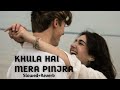Khula Hai Mera Pinjra Slowed Reverb Lofi Version RR MUSIC