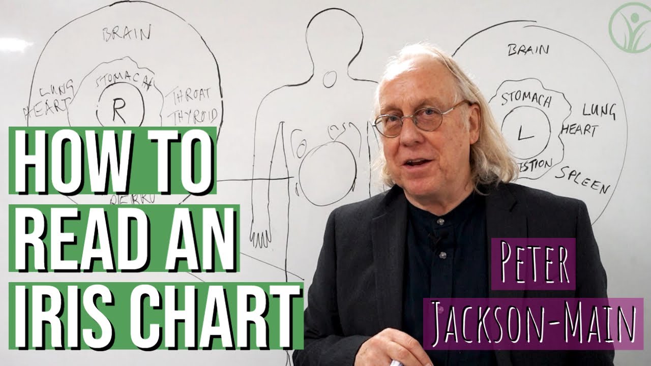 How to Read Health clues in your Eyes | Iridology Iris Chart