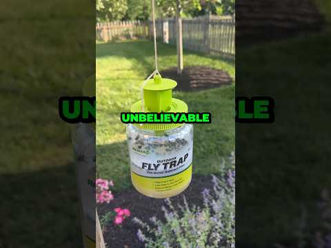 The Ultimate FLY TRAP For Your Backyard! #shorts
