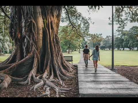 Tako je sudjeno COVER   PECE RISTESKI