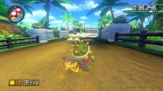 DS Cheep Cheep Beach - 1:51.527 - Mick (Mario Kart 8 World Record)
