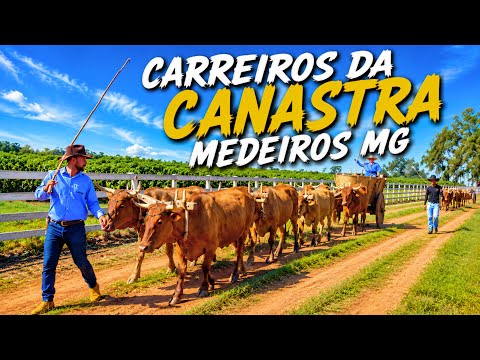 🚨 CARROS DE BOI TOMARAM CONTA DE MEDEIROS MG! Veja como foi
