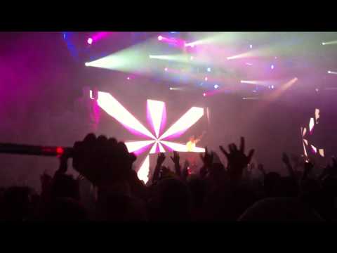 DNS Project - Exclusive Live (Performed at ASOT 500 JHB)