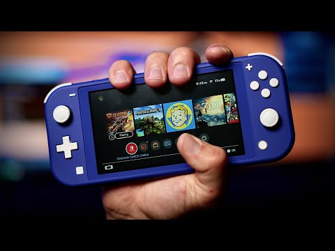 Nintendo Switch Lite Several Months Later…