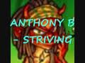 ANTHONY B - STRIVING (RUB A DUB RIDDIM)