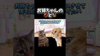 Download lagu 【猫ミーム】お姉ちゃんの🌰と🐿 mp3