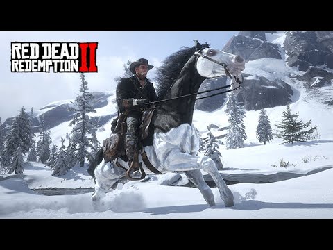 Aventuras na NEVE em busca do Cavalo Tennessee Walker Mahogany Bay - O COLECIONADOR DE CAVALOS - 05