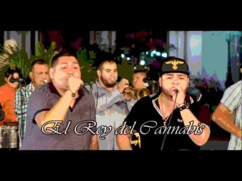 EL REY DEL CANNABIS - LENIN RAMIREZ FT LOS CHAIREZ 2017