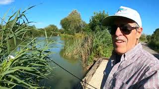 Solo Overnight Fishing for Bigger Carp (and MORE in the Daytime!)