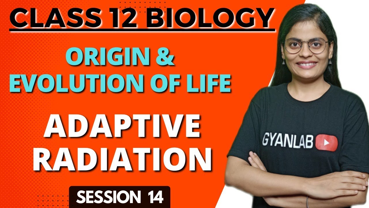 Class 12 Biology | Origin & Evolution of life | Adaptive Radiation | Session 14 | Gyanlab