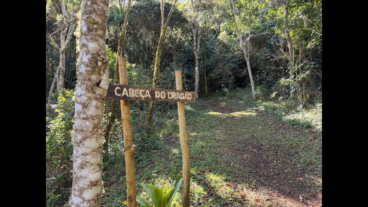 TURISTANDO COM ÊXITO/ TRILHA CABEÇA DO DRAGÃO / PARQUE ESTADUAL DOS TRÊS PICOS