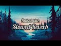 Bukal Vich Slowed Reverb Song Geeta Zaildar Slowedandreverb Lofi Punjabi