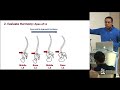 Sagittal Balance and Parameters - David O. Okonkwo, MD, PhD - Seattle Science Foundation Sagittal Balance and Parameters - David O. Okonkwo, MD, PhD
