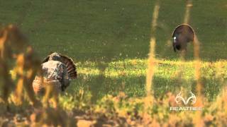 Extreme Close-Up Alabama Turkey Hunt