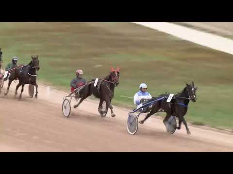 2022.11.05. 05. futam - ÚJ-MEXIKÓ DÍJ