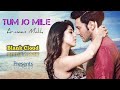 Tum Jo Mile Lyrical SAANSEIN Armaan Malik Rajneesh Duggal Sonarika Bhadoria Blank Cloud