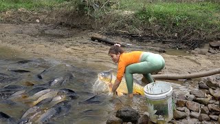 Interesting Fishing Alone, Used a Pump to Suck Up All The Water in Lake, Catching a Lots of Big Fish