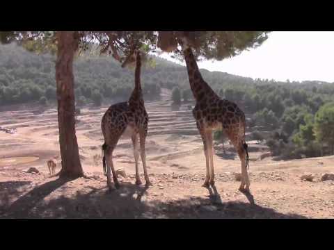 Ronni Le Tekrø - You Know & I Know (Official Music Video)