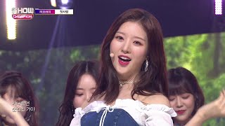 Show Champion EP.281 LIVE HIGH - First Love