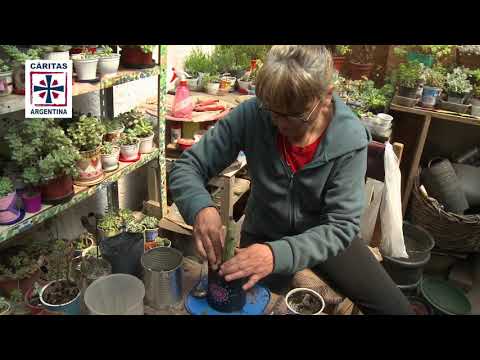 Colabrá con la #ColectaAnualCáritas ► 8 y 9 de junio