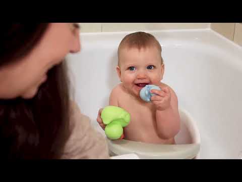 Family of Bath Ducks