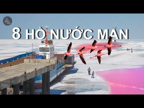 SỰ THẬT ĐẰNG SAU 8 HỒ NƯỚC MẶN LỚN NHẤT THẾ GIỚI và THẢM HỌA XÓA SỔ HỒ NƯỚC MẶN LỚN THỨ 2 THẾ GIỚI