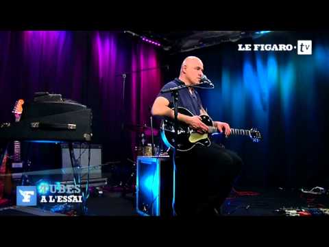 Tube à l'essai : comment Dominique A a composé «Le Courage Des Oiseaux»