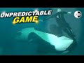 Orca Attacked Its Trainer