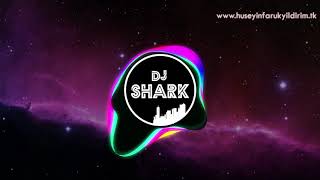DJ Shark ft. Ebru GÜNDEŞ - Kim Bu Gözlerindeki Yabancı (Remix)