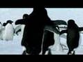 Flying Penguins - BBC