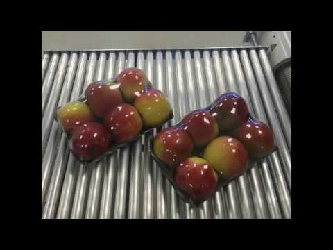 Verpacken von Äpfeln im Tray