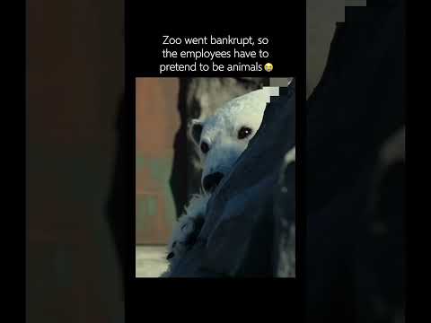 What happens when the zoo goes bankrupt 😭 #shorts
