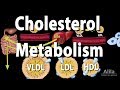 Cholesterol Metabolism LDL HDL And Other Lipoproteins Animation