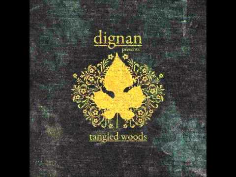 Dignan - Ships