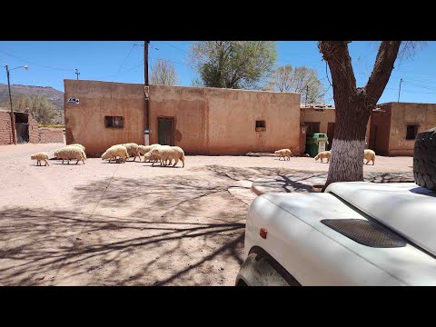 Vuelta a la Argentina | Capitulo 12 | Jujuy, Ruta 40, Cusi Cusi