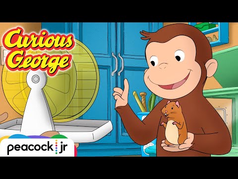Curious George - Tiny Hamster Playground - Prepositions of Place