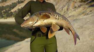 VideoImage1 Call of the Wild: The Angler™ - Spain Reserve