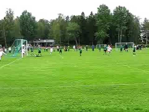 Kasiysi - TiPS Haukat