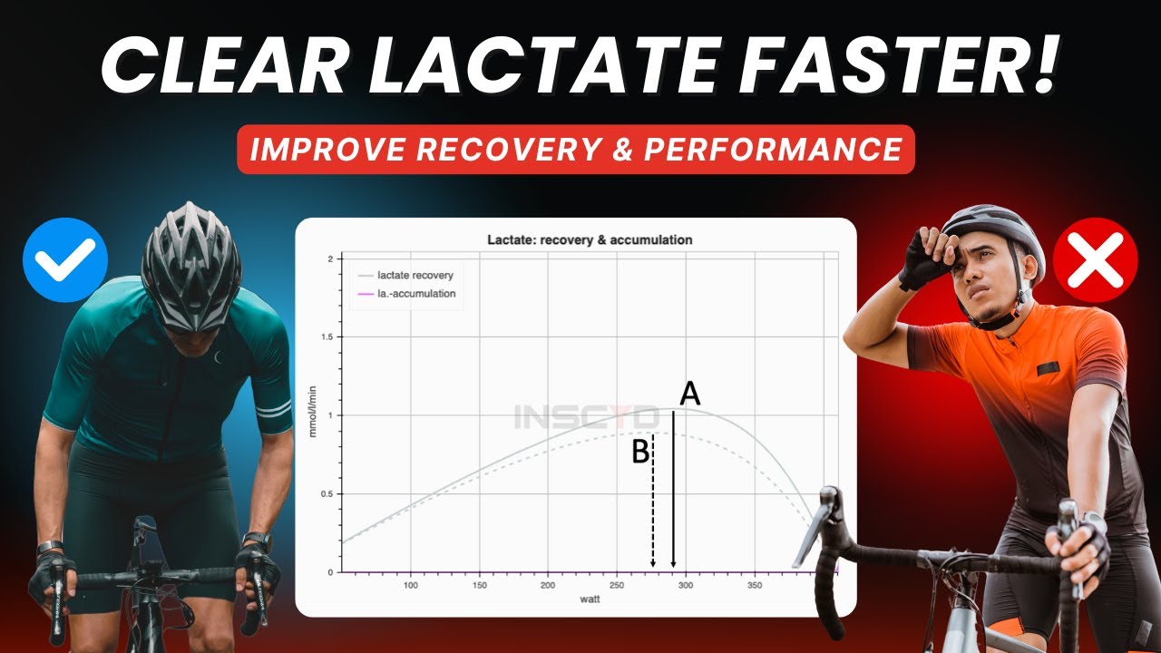 Lactate Clearance Explained: How to Recover Faster & Improve Performance