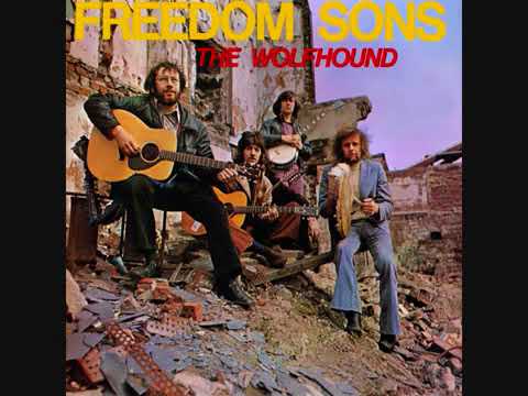 The Wolfhound (Ray McAreavey) - Freedom Sons | Full Album | Irish Rebel