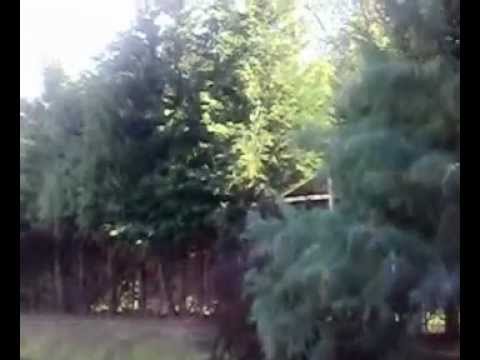 Bresnik-selo kod Kraljeva,Srbija,na ribnjaku