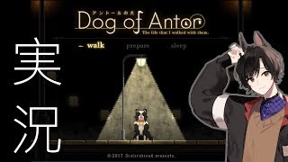 【IRIAM】犬が誕生日に犬の一生を見る※一部音声削除【アントールの犬】